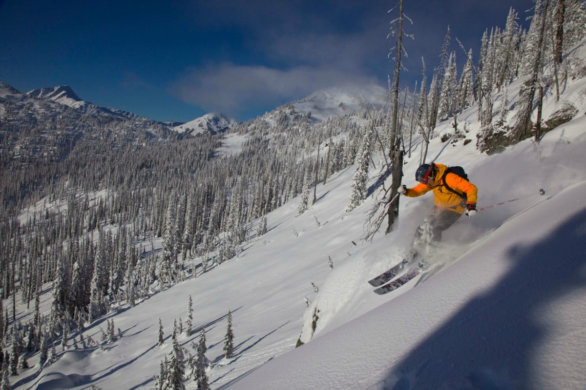 cmh heli skiing canada re tree pitch purepowder purepowder