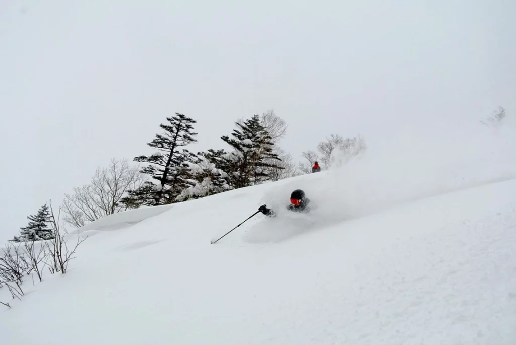 japan-off-piste-13