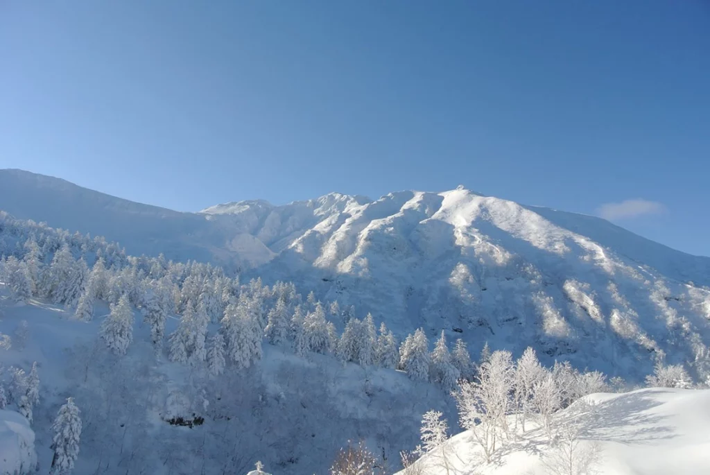 japan-off-piste-20