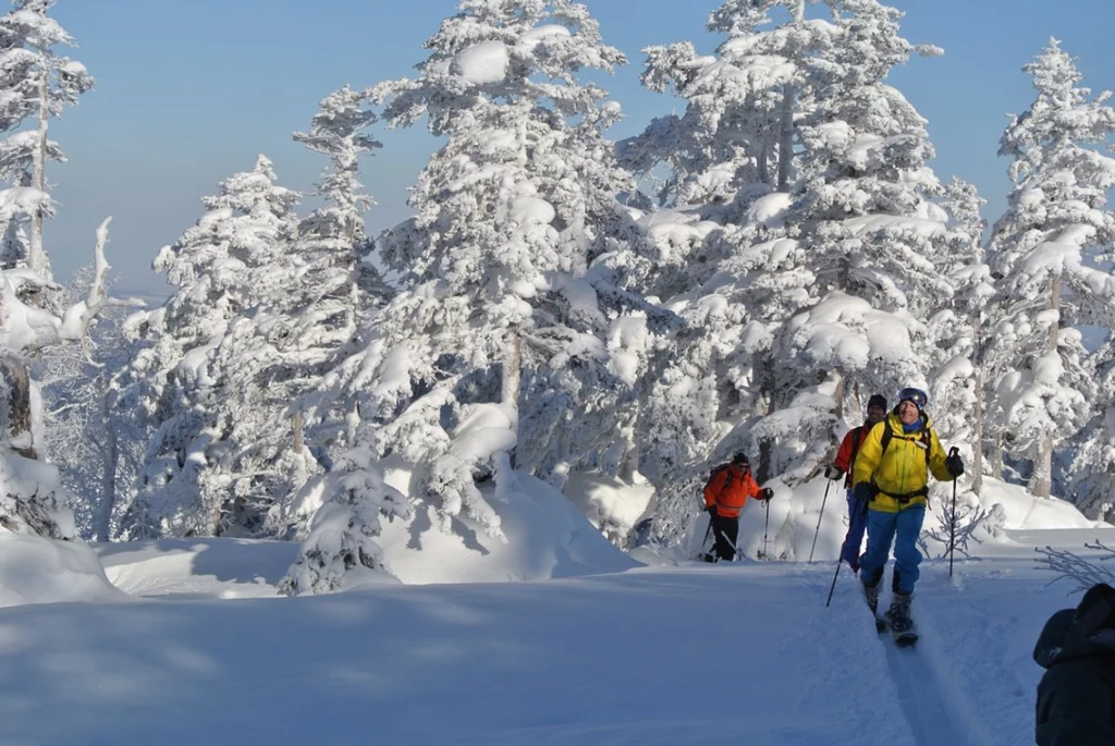 japan-off-piste-21