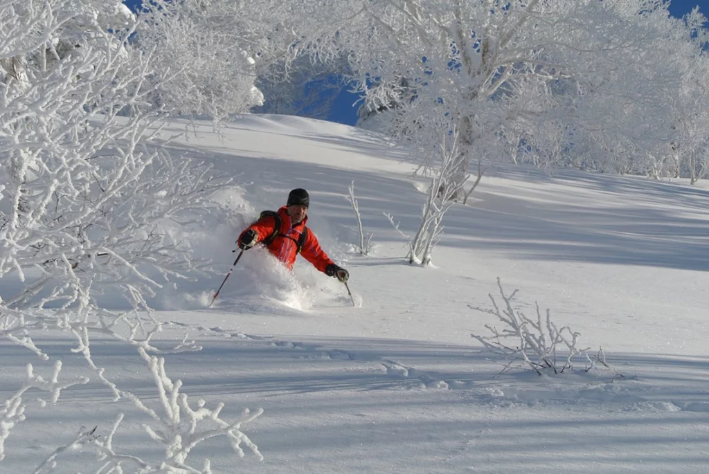 japan-off-piste-22