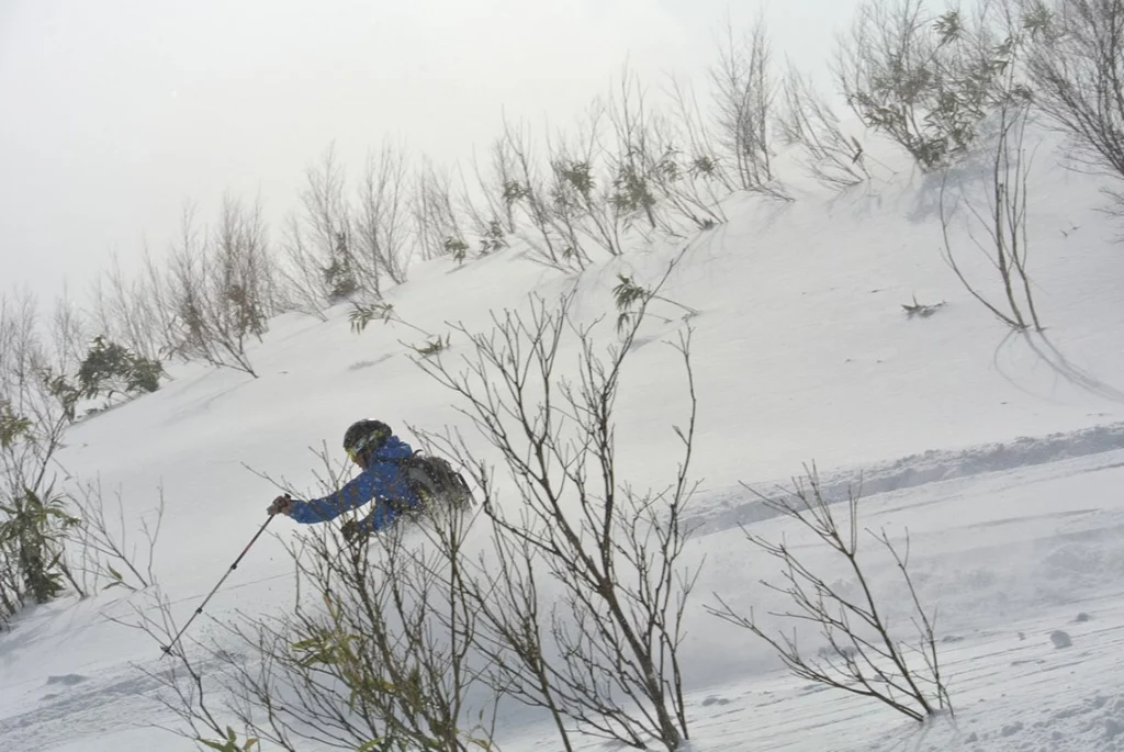japan-off-piste-6
