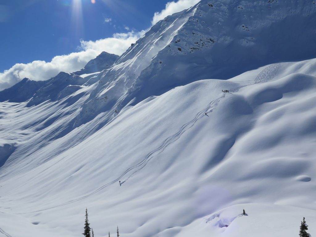 Single day heli skiing with CMH Purcell