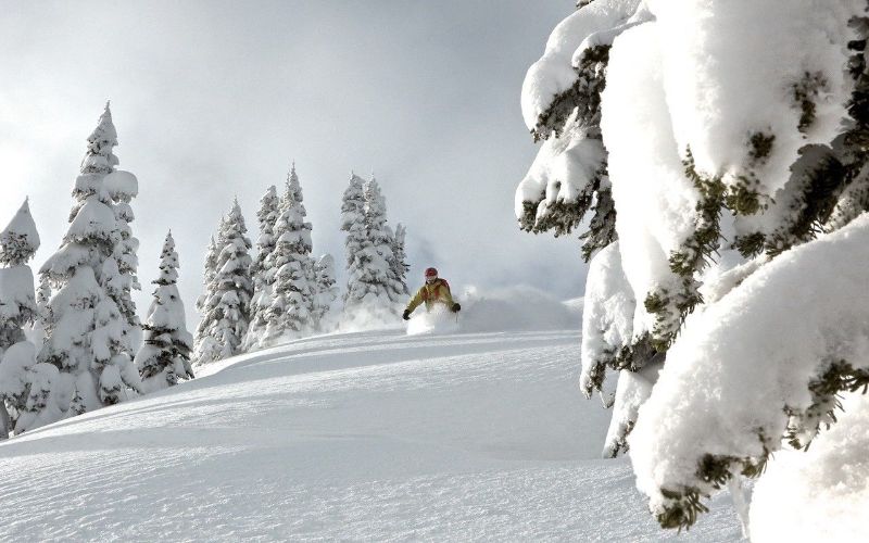 helicopter-skiing-skier-going-through-powdered-snow-min