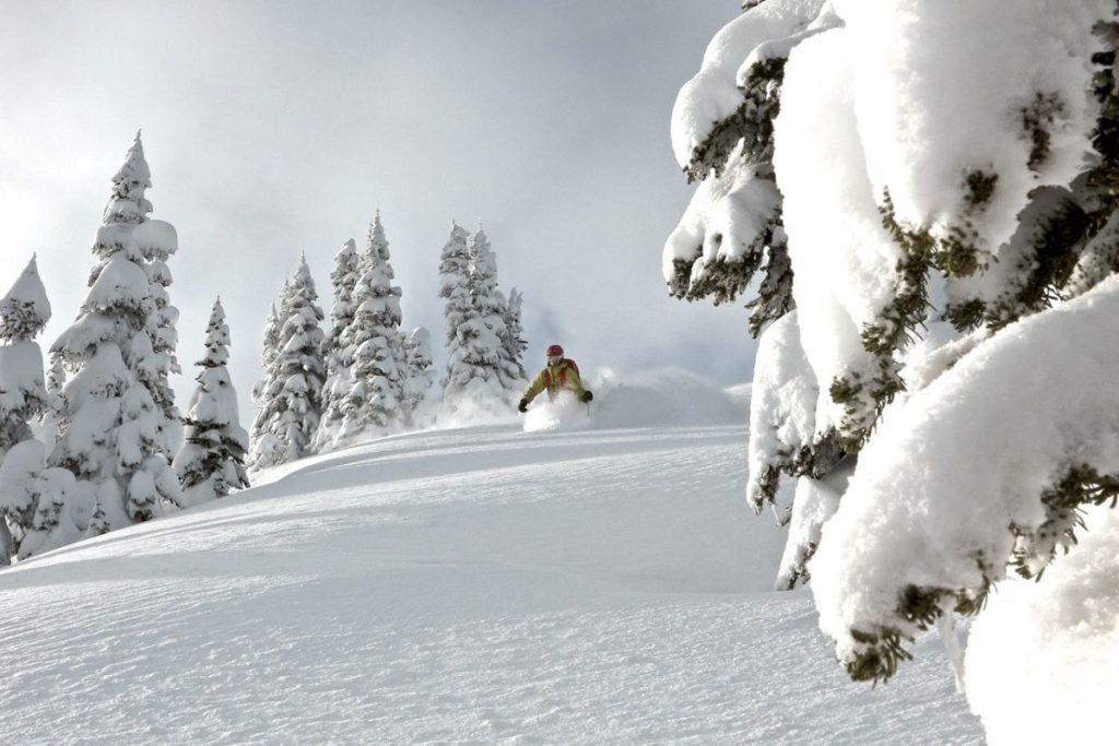 off-piste-skiing-picture-through-snow-covered-trees-min