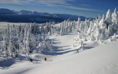 Helicopter Skiing Canada: Why Choose Canada? 
