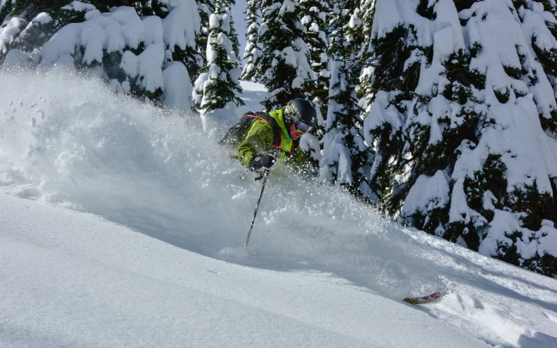 affordable-heli-skiing-tree-skiing-min