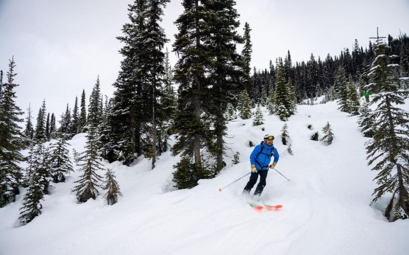 helicopter-skiing-canada-tree-skiing-min