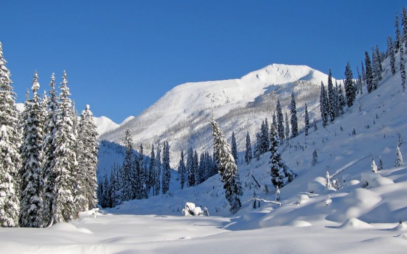 heliskiing-canada-prices-canadian-mountains-min
